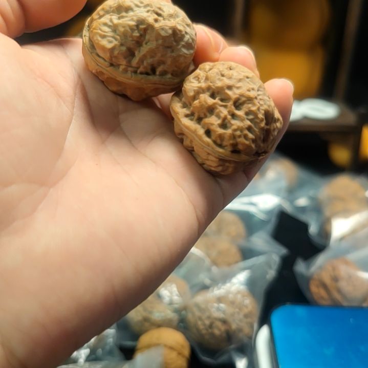 文玩核桃吊坠小金蟾