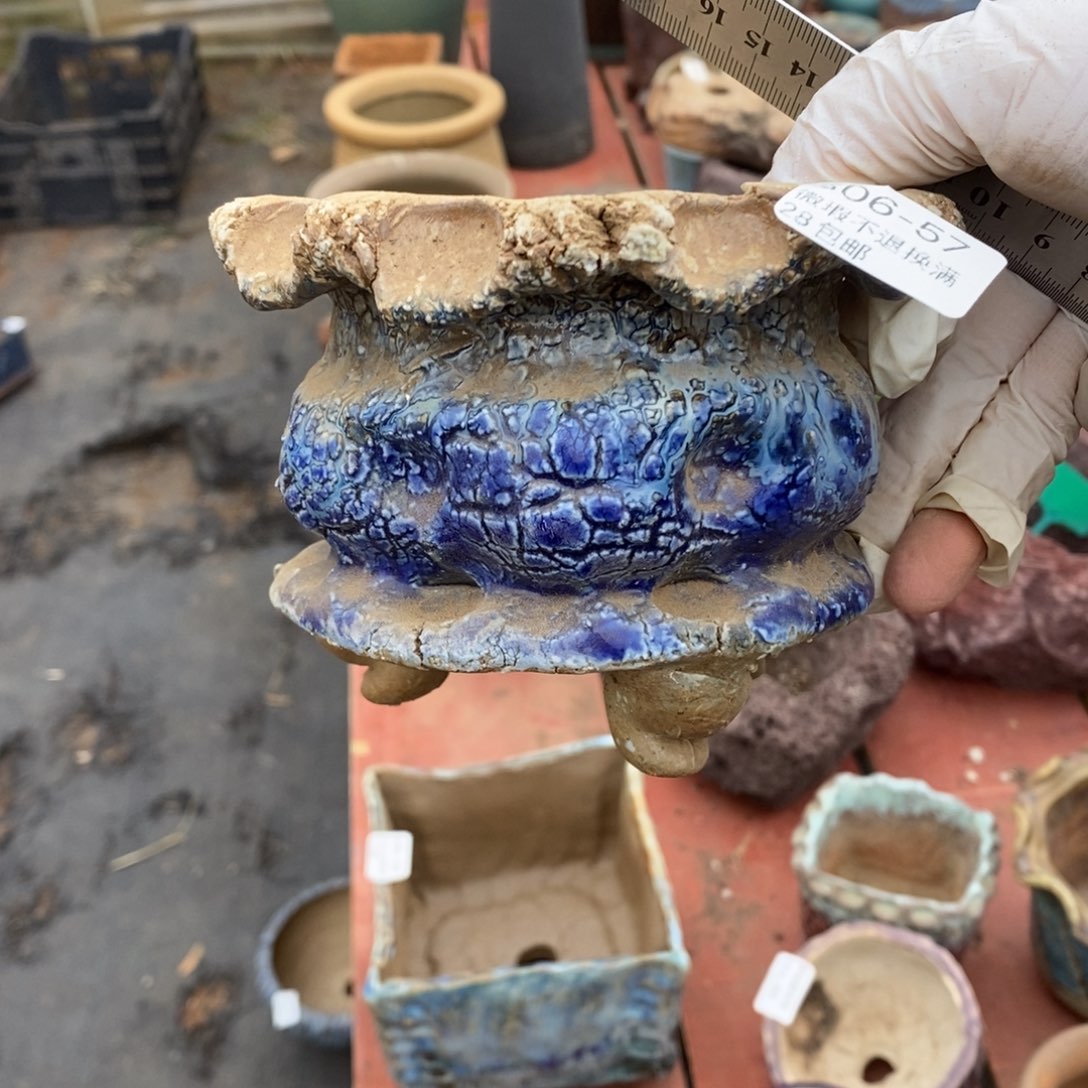 红陶陈****t57号多肉盆一个呀