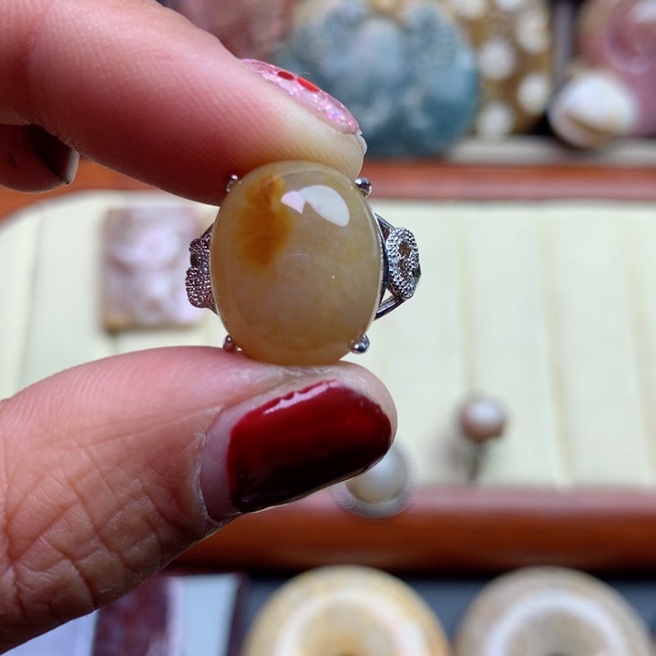 硅化珊瑚（珊瑚玉）颈饰未镶嵌