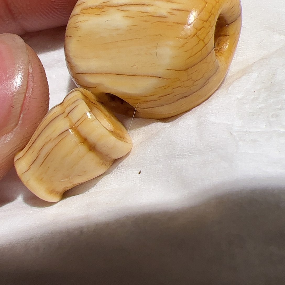 香榧木你的时候你