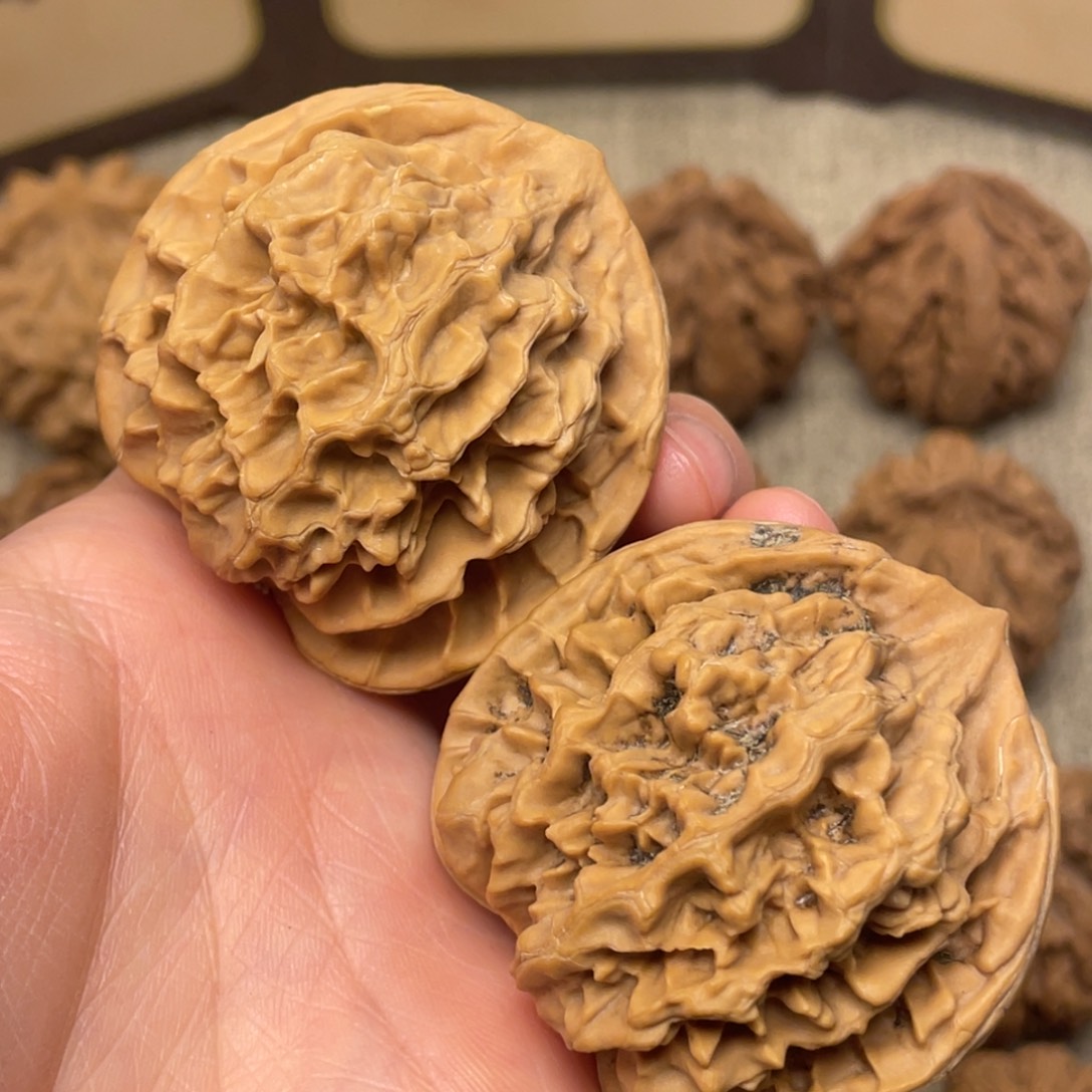 文玩核桃把件秦岭核桃10号（练手对）