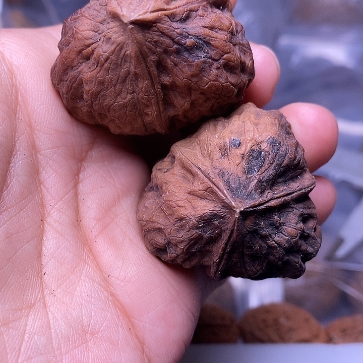 文玩核桃吊坠   185