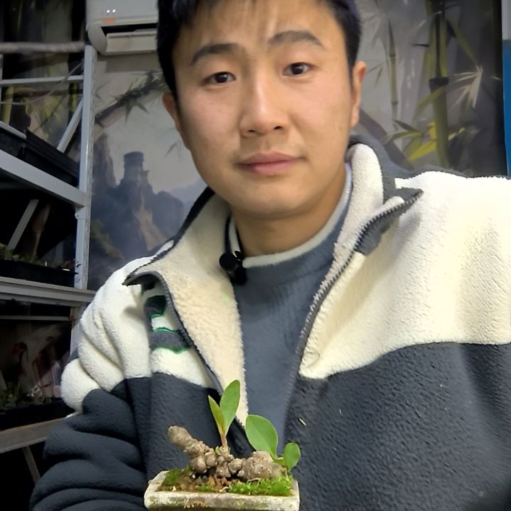 思***万中青园艺一物一拍花416
