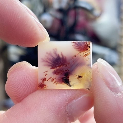 玛瑙/玉髓珠宝奇石未镶嵌