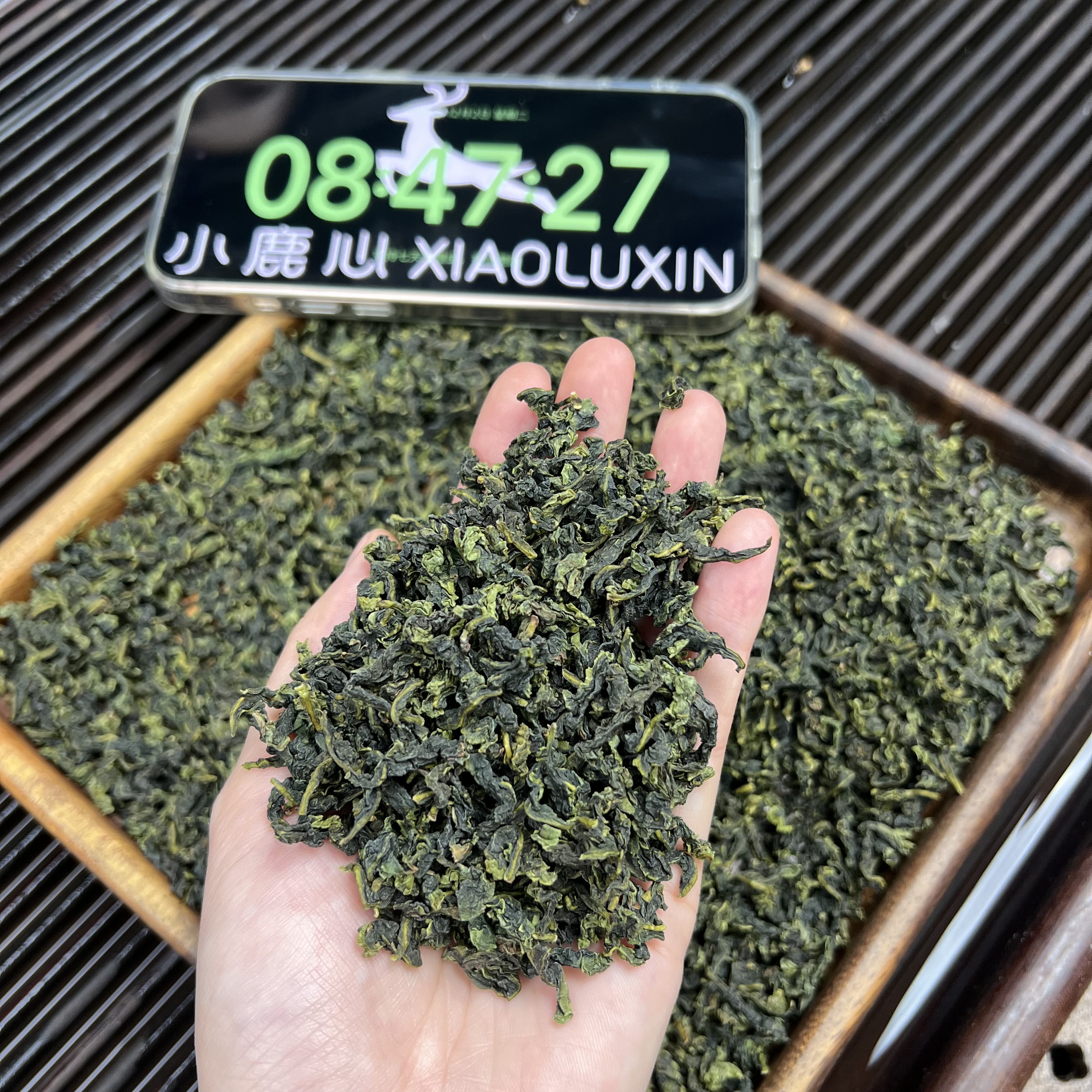 安溪正味清香铁观音 小鹿收茶 正味兰花香乌龙茶 12月2