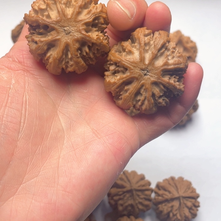 文玩核桃吊坠文玩城的小伙伴们都