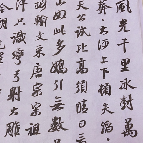 书法张建东老师书法作品