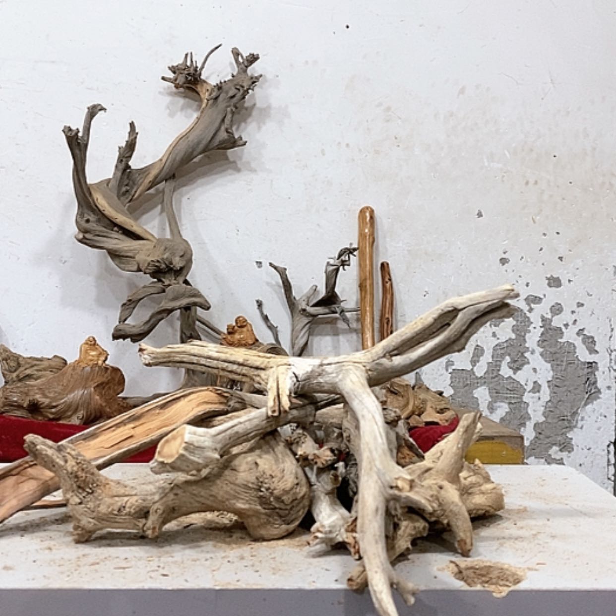 【闪购商品】柏木家***h我们都是好孩子