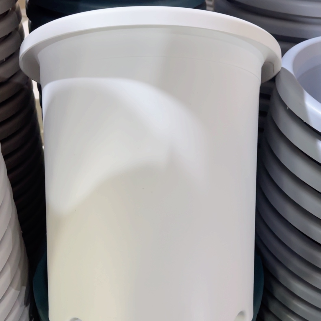 树脂四季7#无拖纯白10个