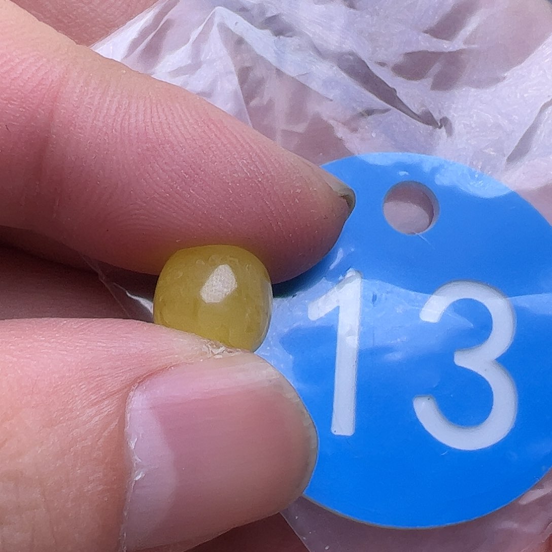 蜜蜡未镶嵌珠宝奇石9.8mm