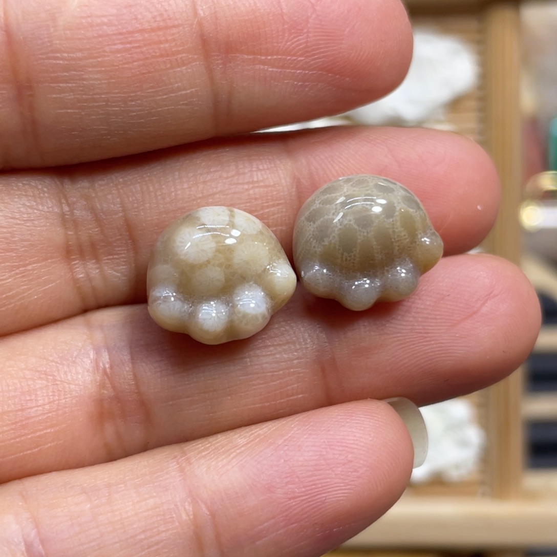 捡****硅化玉未镶嵌颈饰k35
