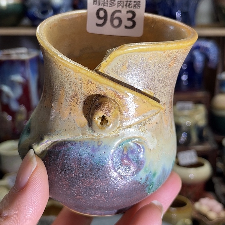 狼盆内口径6高度9