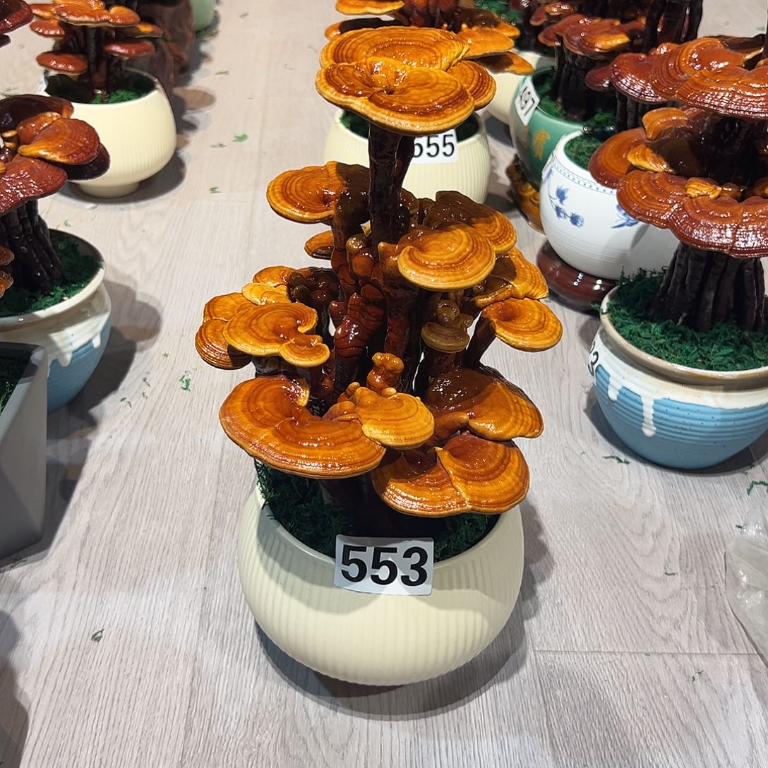 珊***珊无花朵888888888888