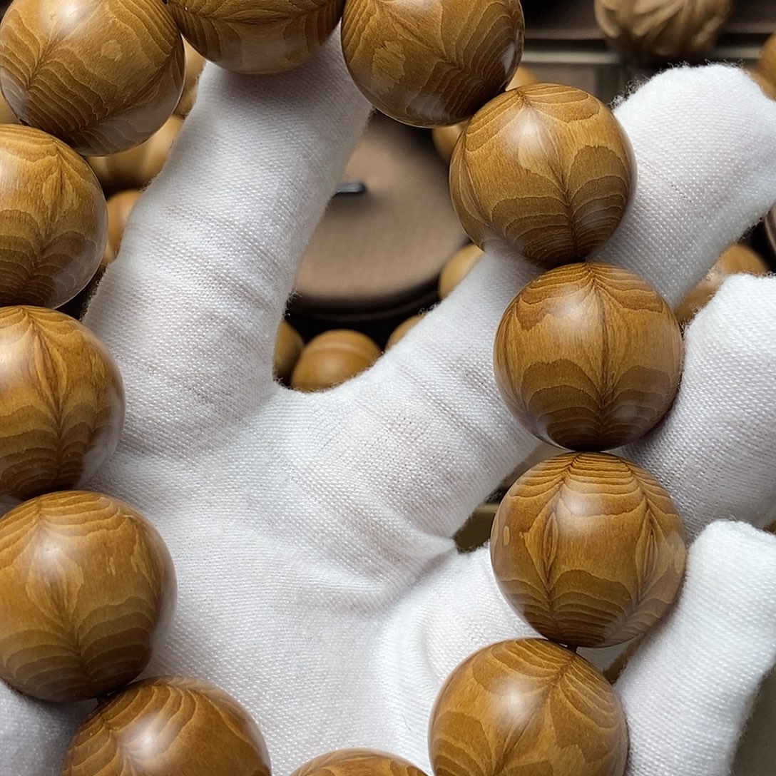 东***哥六道木山西五台山