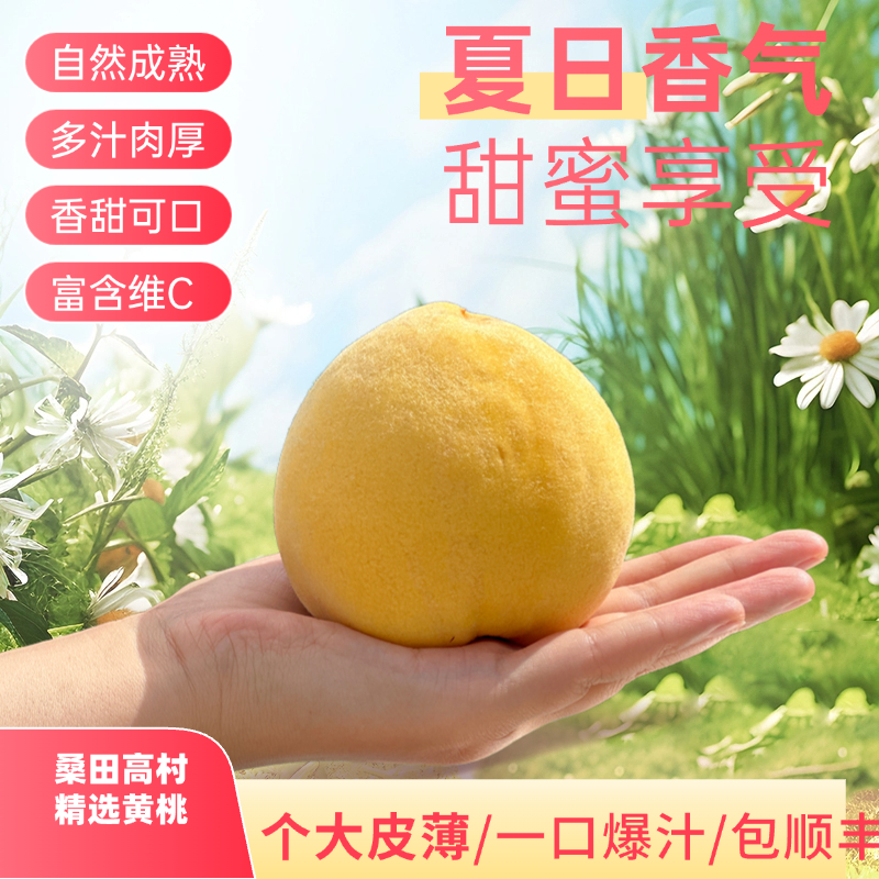 桑田高村 精选本地黄桃一口爆汁鲜甜可口