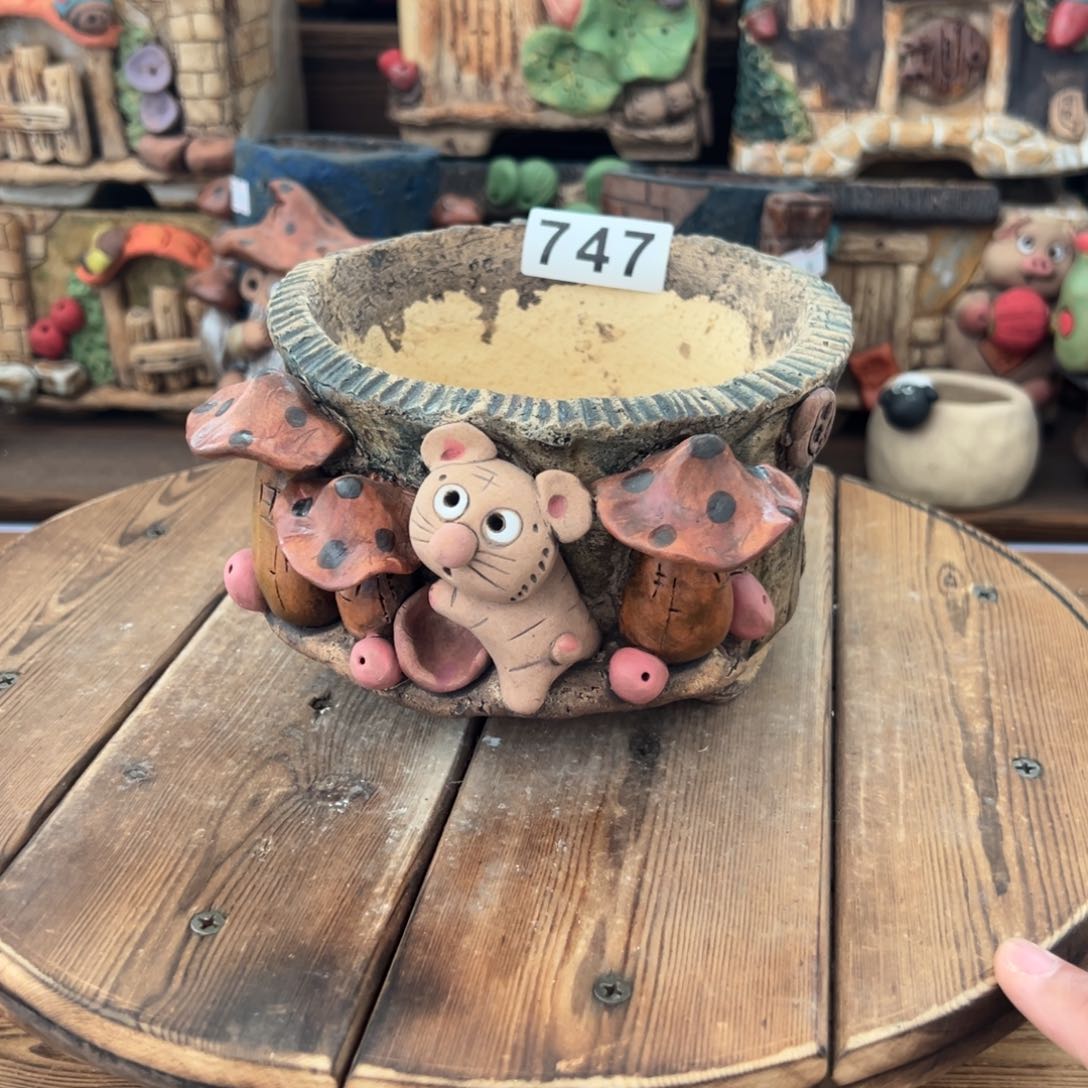 嘻哈多肉花盆百搭