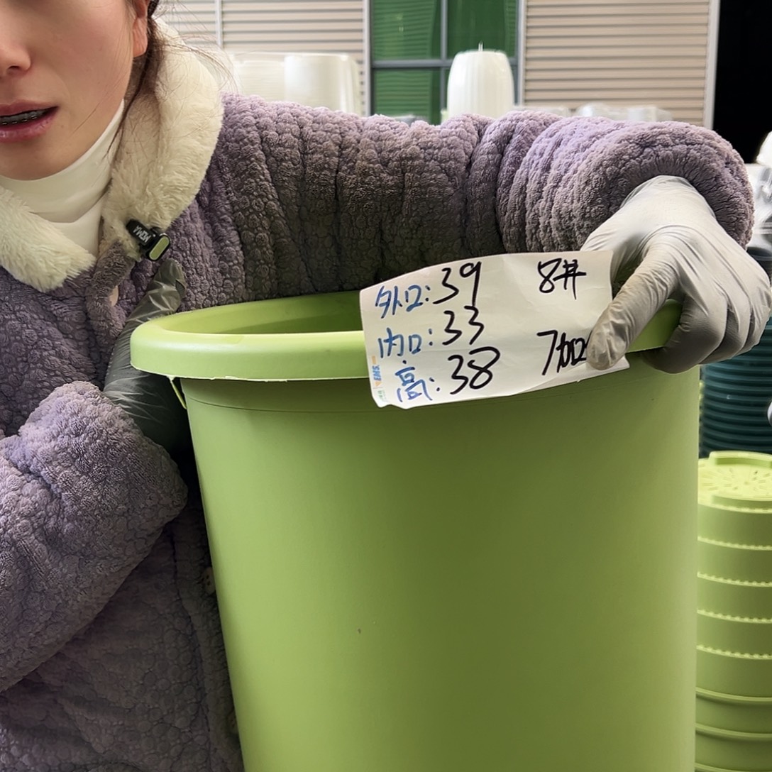 四季盆8#果绿5个无托