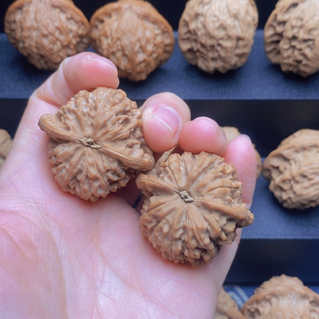 把件文玩核桃ℳ满天星