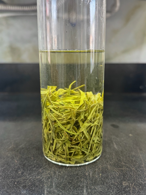 三峡雲翠阁2025年湖北宜昌毛尖茶78