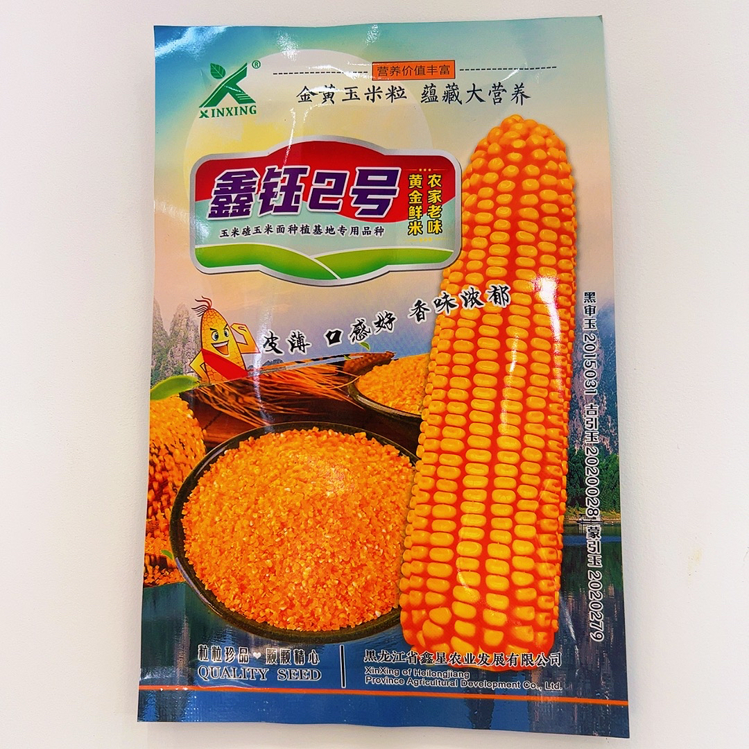 磨玉米碴玉米面2号种子