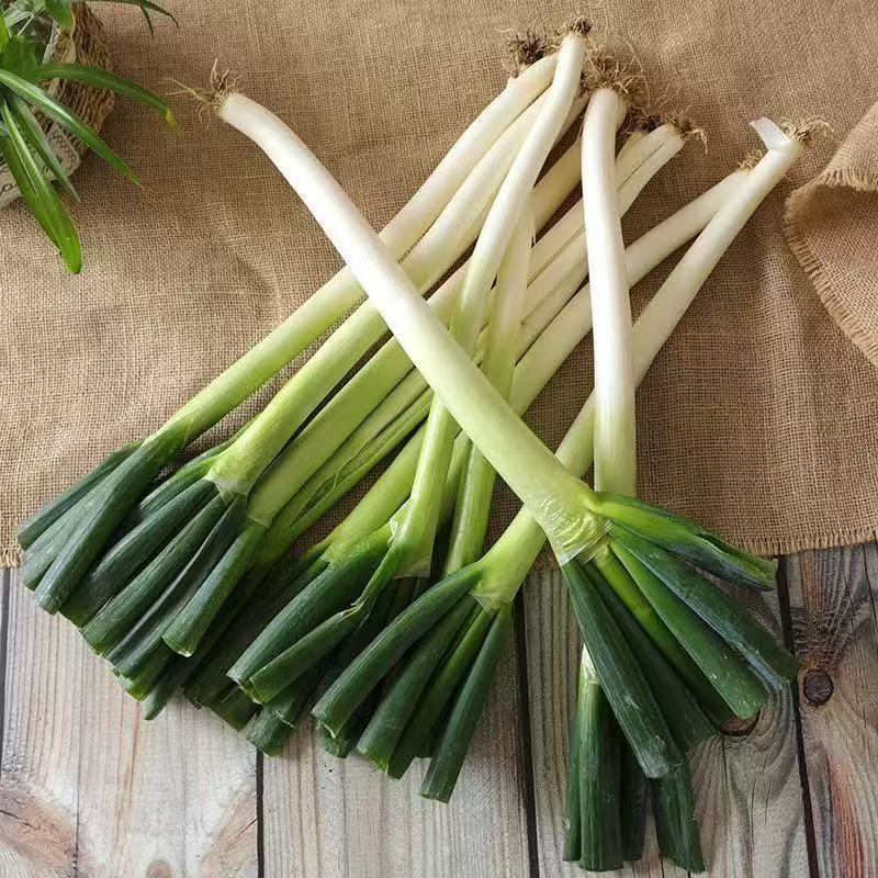 WR2025年新鲜铁杆大葱整箱现挖带土带皮去半叶食用蔬菜