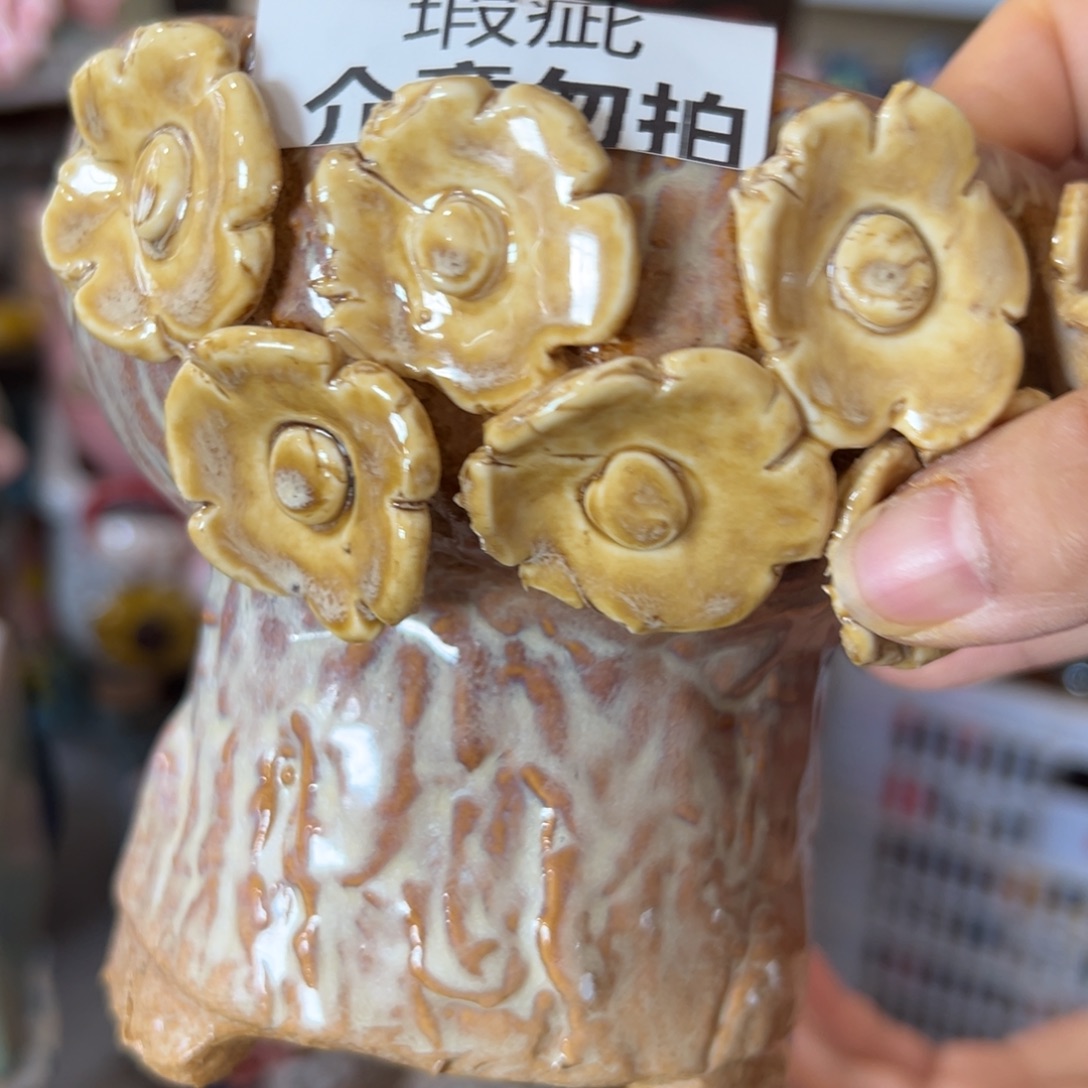 花盆，满20发货爱退款拉黑