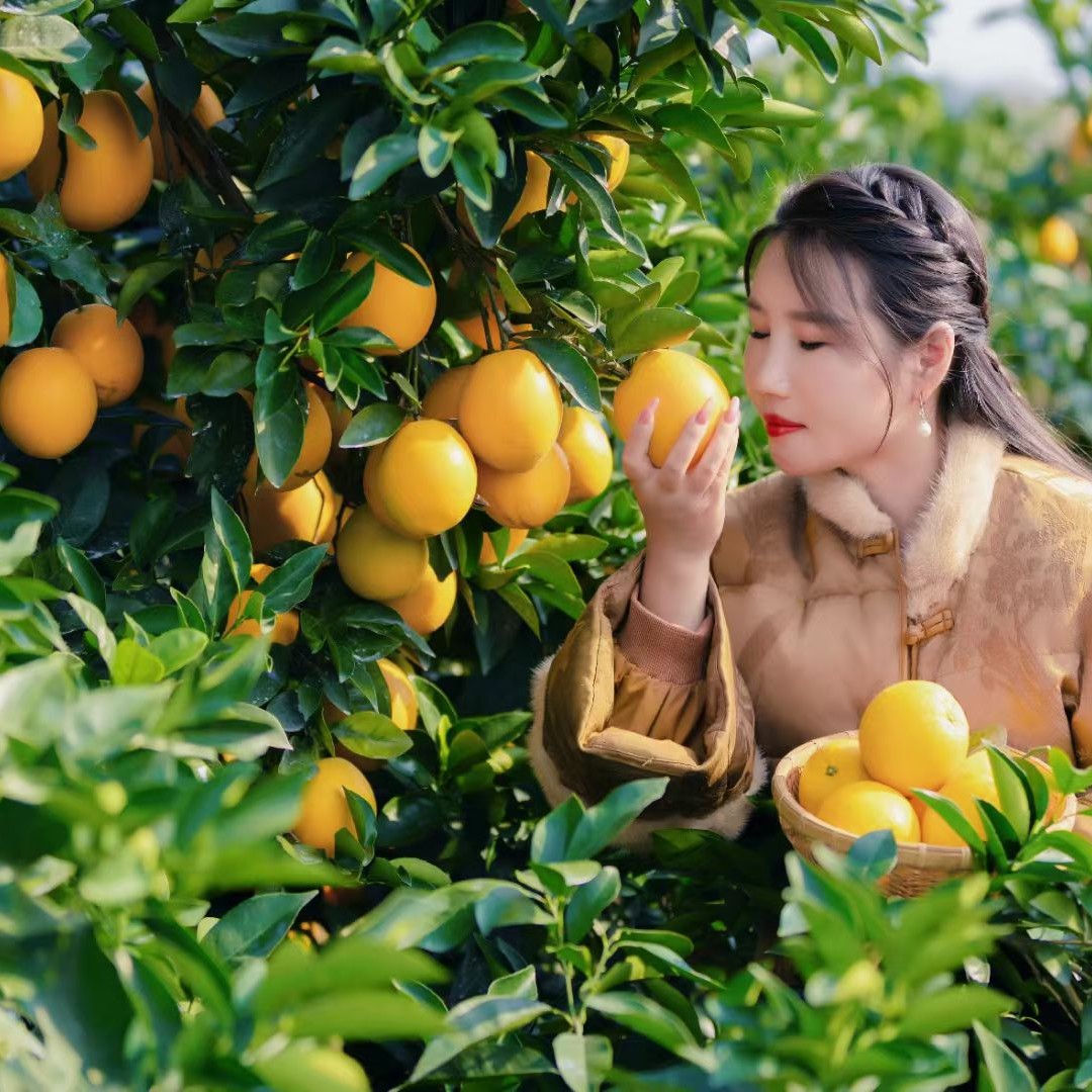 正宗江西赣南脐橙新鲜精品果当季水果产地直发严橙