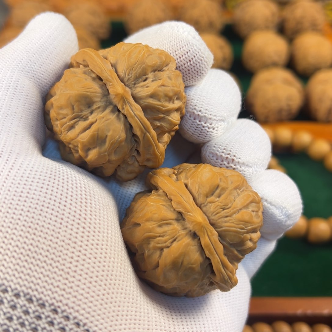 蛤嘛头原皮精对尺寸42.8