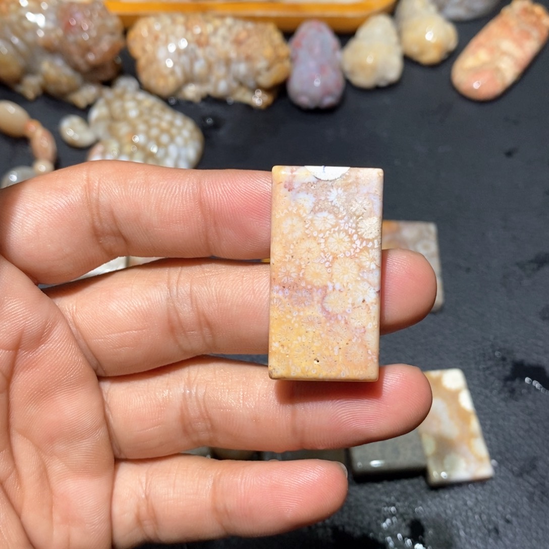 【闪购商品】硅化玉颈饰未镶嵌