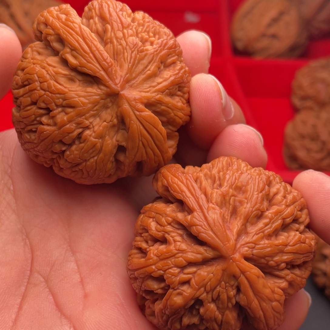 文玩核桃把件秦岭山脉核桃