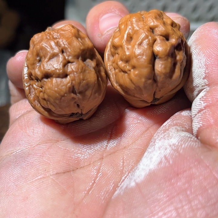 文玩核桃吊坠滇西铁核桃17