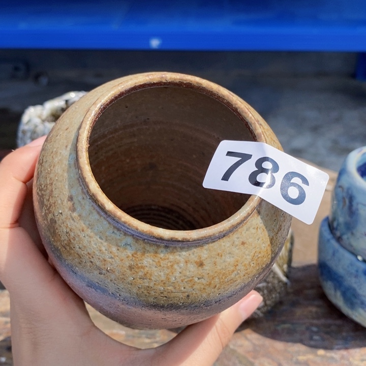 茶盏啦啦啦啦啦啦啦786