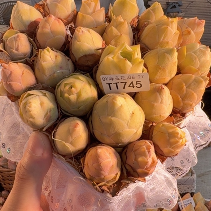 TT745 黄桃亚克力花盒