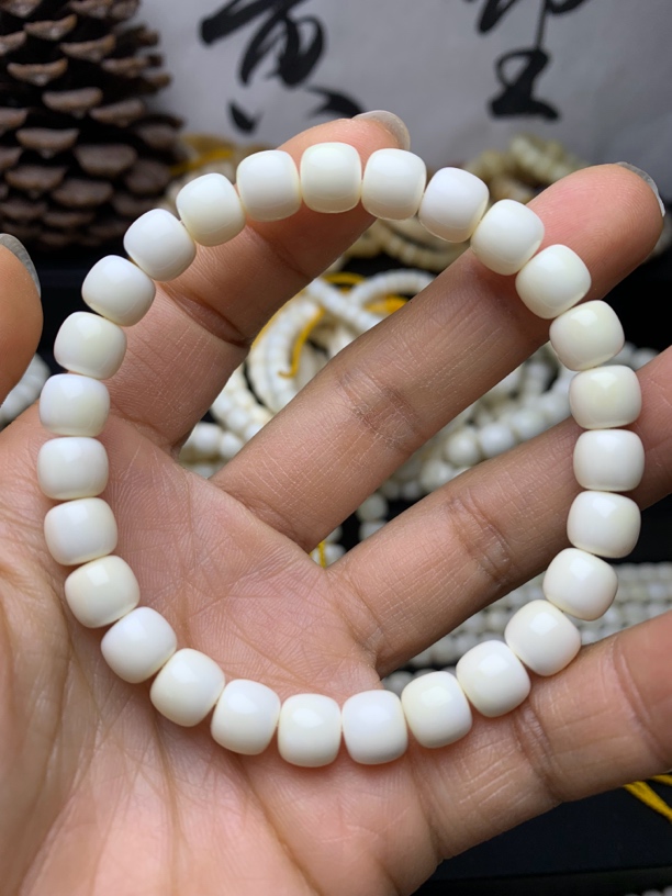 猪牙8X7老型单圈全品1.5孔实心牙做