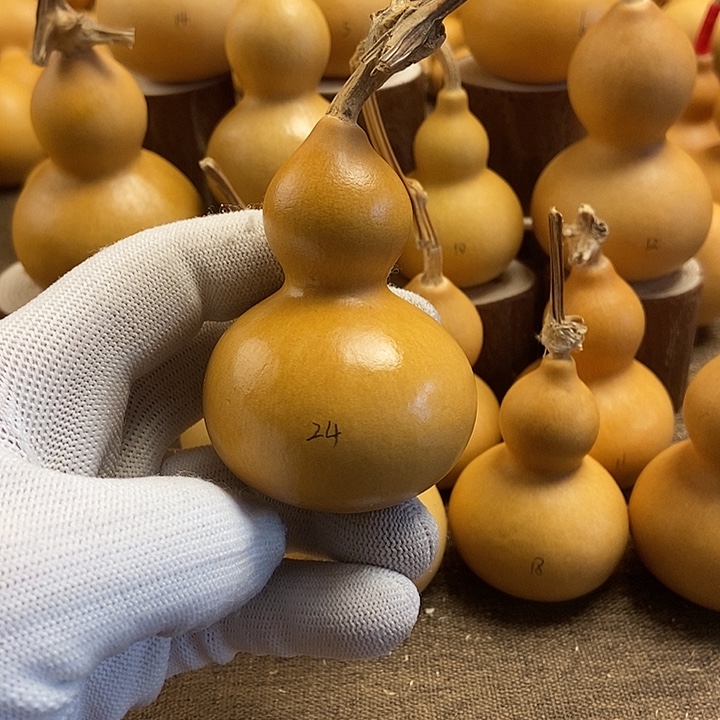 文玩葫芦 完美主义者 慎拍24