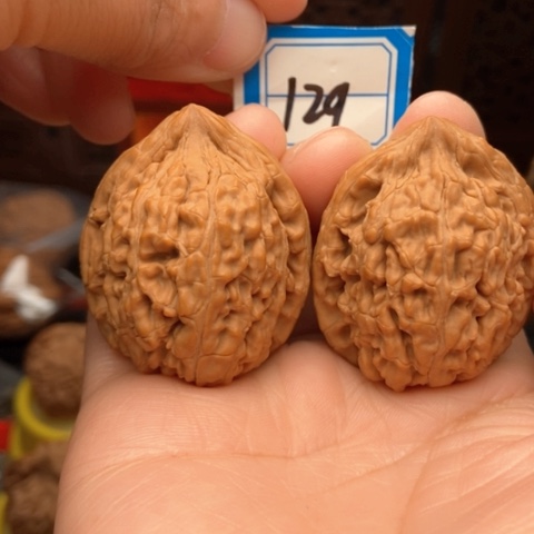 文玩核桃吊坠蚂蚁王36