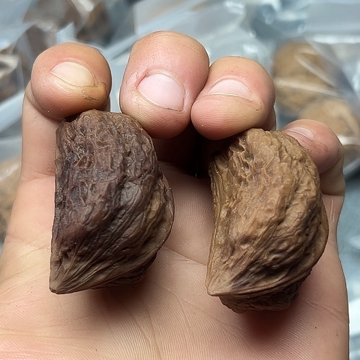 核桃27号花彩半壁江山40尺