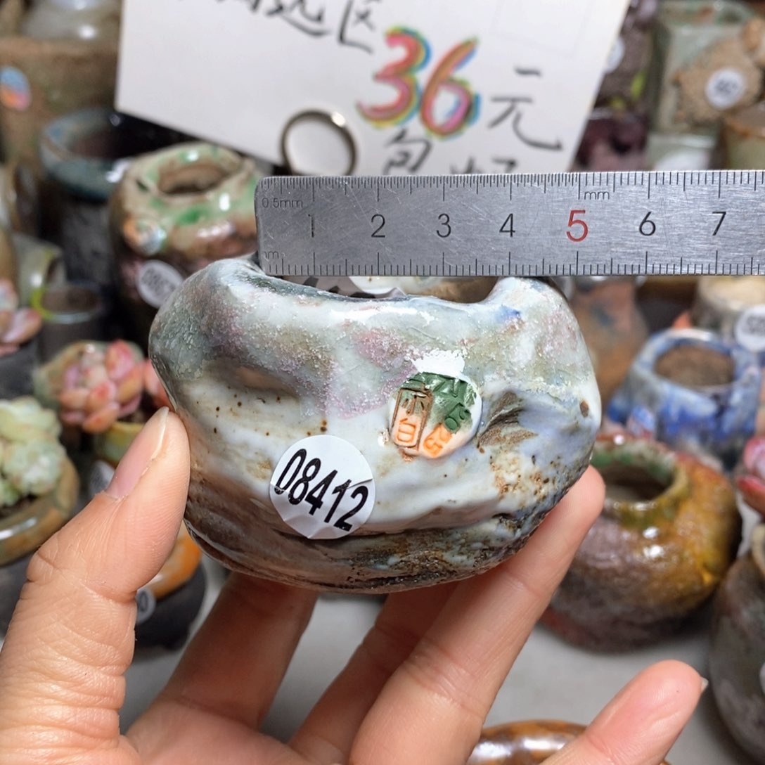 花盆拍1送一个小礼物