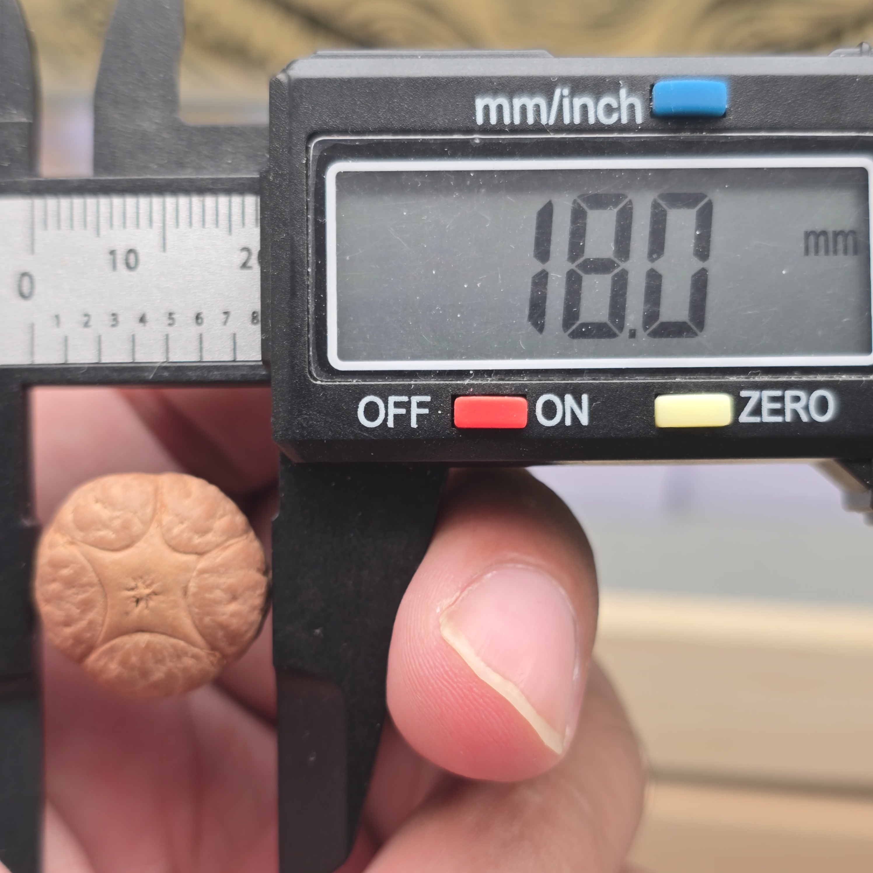 尼泊尔凤眼菩提，一物一图，五星单颗18