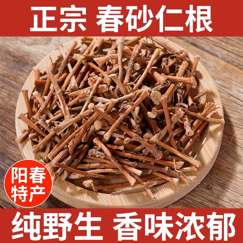 正宗广东阳春砂仁根春砂仁根砂仁根干货50g-500g包邮煲汤煲水食用