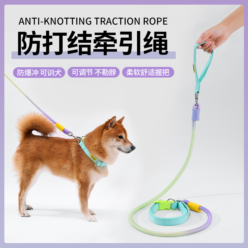 狗狗牵引绳渐变色P绳多功能遛狗绳遛猫绳防爆冲猫狗绳宠物用品