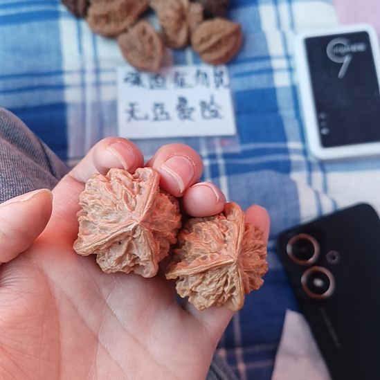 淮***巴盘山文玩核桃三棱子
