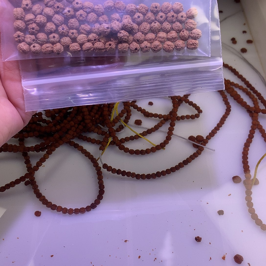 R***情金刚菩提手串金刚菩提子佛手散籽