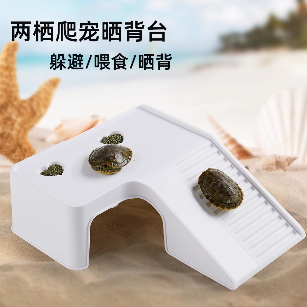 晒台爬台养专用爬宠晒背喂食爬台浮台鱼缸客厅鱼缸家用小型