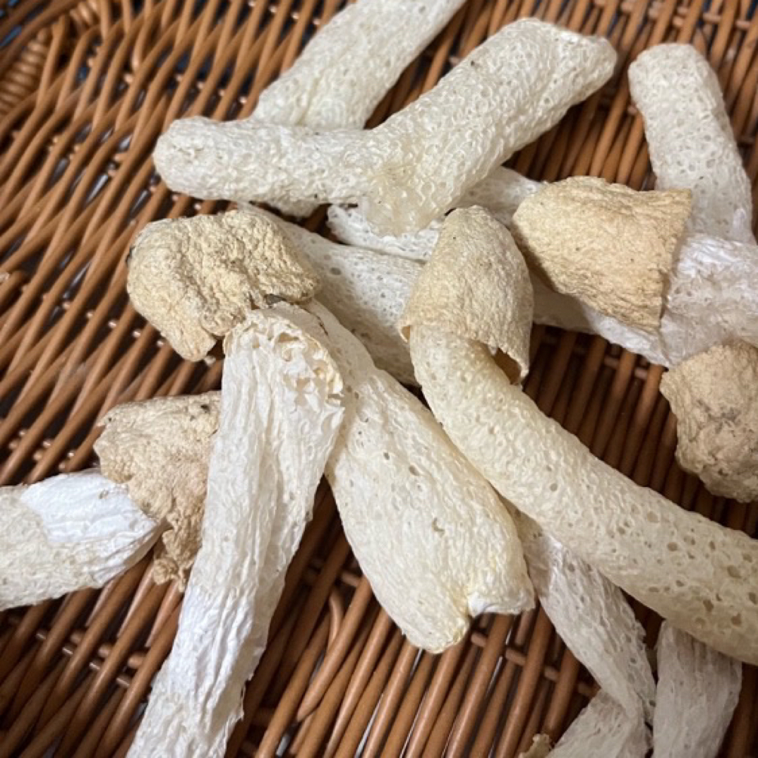 青珍百味家｜青川长裙竹荪 2025头茬 原色干货 脆嫩 煲汤火锅