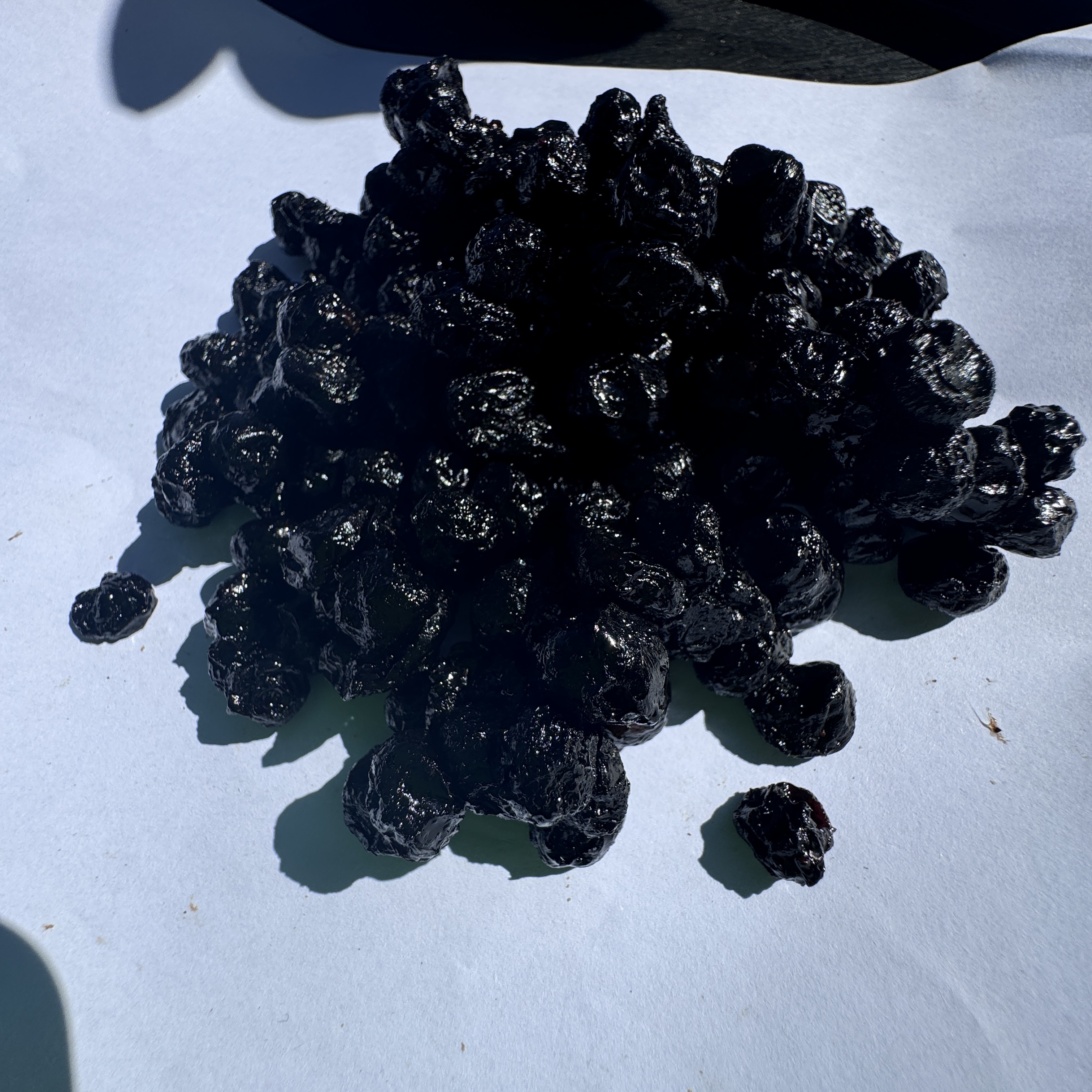 小雪现收土特产 蓝-莓-干 500克