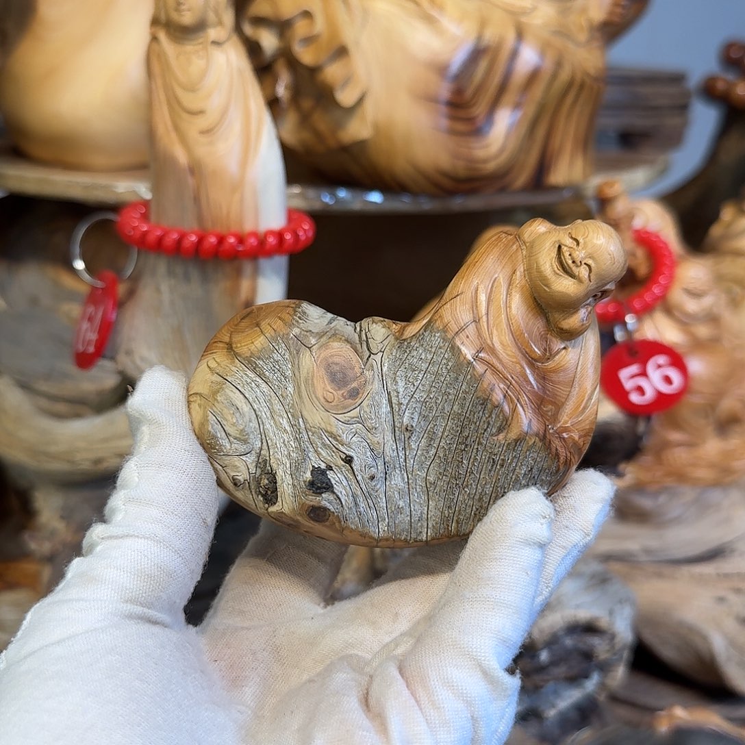 柏木（崖柏）666666666666