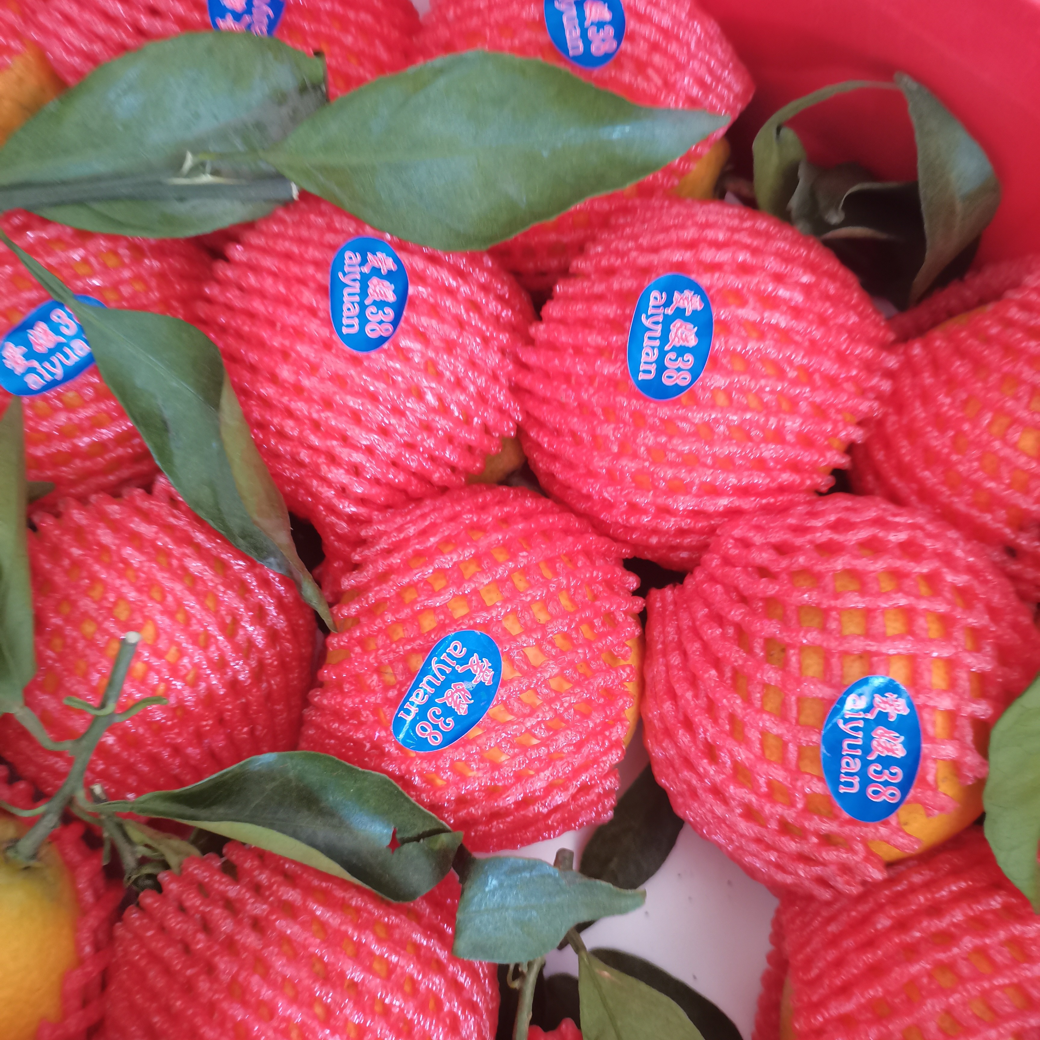 云南果冻橙礼盒38元