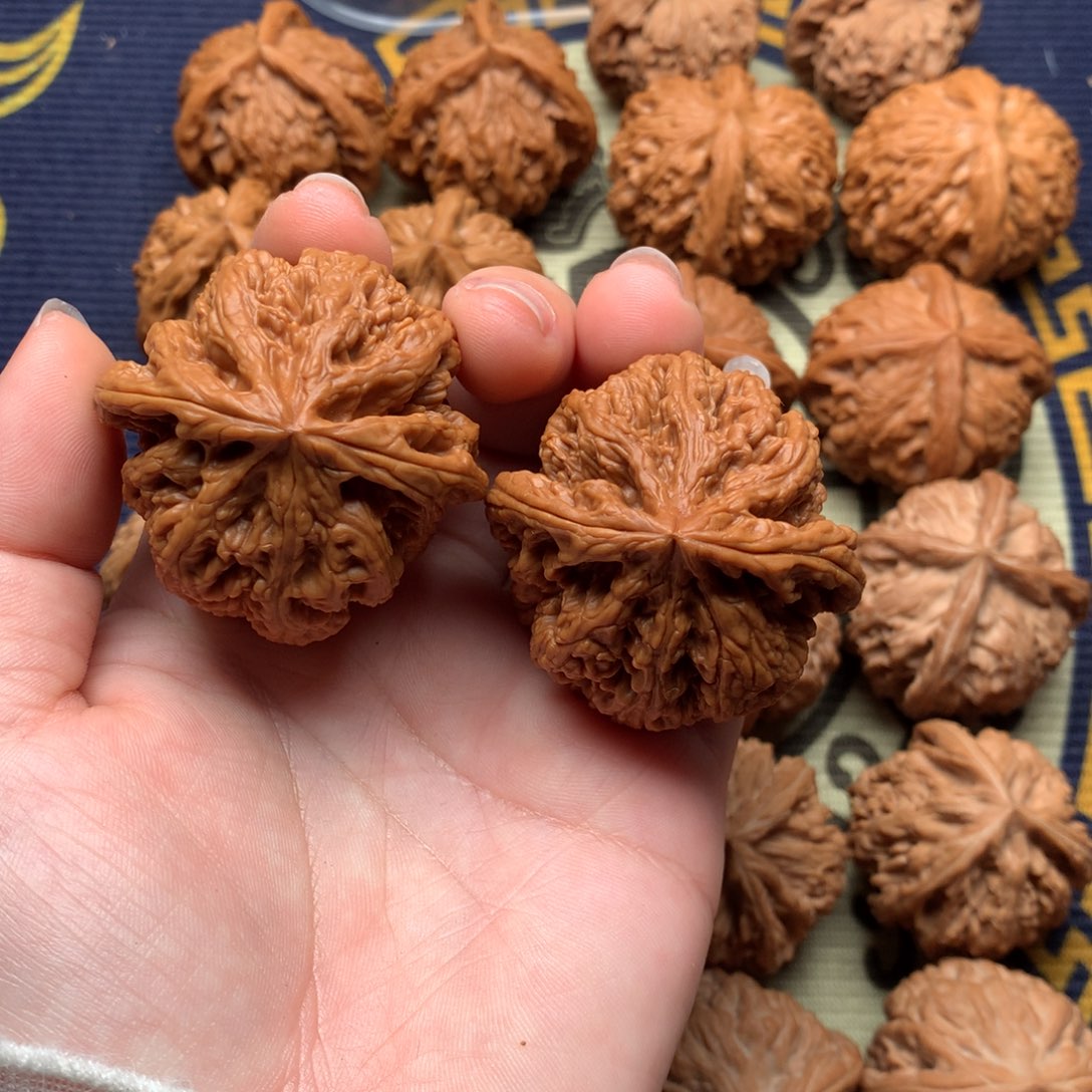 文玩核桃吊坠43大粗筋