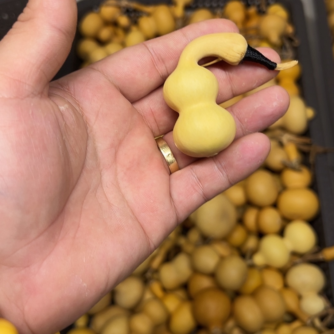 单***人葫芦感谢感谢感谢感谢感谢